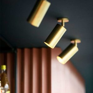 Curtis Track/Ceiling Light