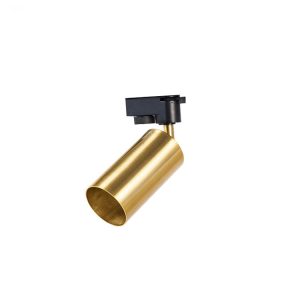 Curtis Track/Ceiling Light