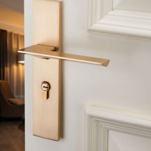 Grayson Door Handle Series