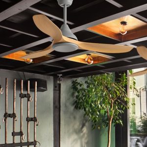 Hunter Ceiling Fan
