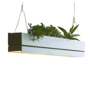 Moss Linear Drop Chandelier