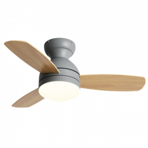 Mera Ceiling Fan