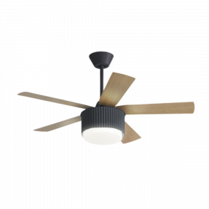 Nayomi Ceiling Fan