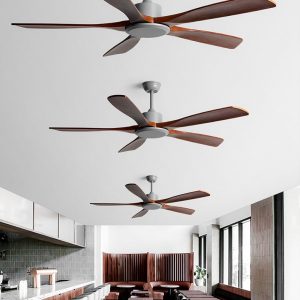 Reviva Ceiling Fan