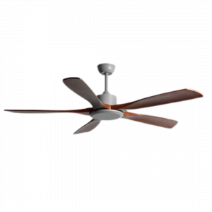 Reviva Ceiling Fan