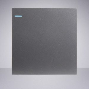 Maximus Series (Silver Gray)