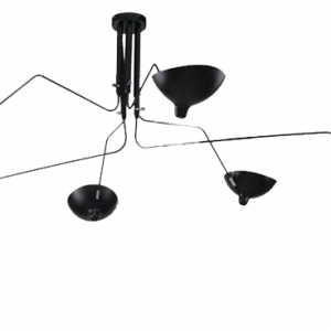 Cowrie Ceiling Light