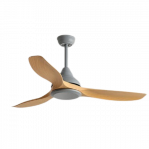 Hunter Ceiling Fan