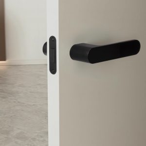 Beck Door Handle