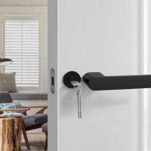 Cruise Door Handle