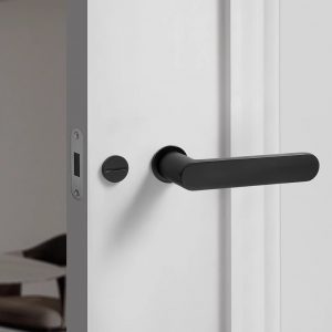 Lewis Door Handle