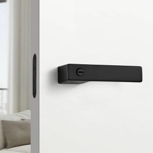 Philippe Door Handle