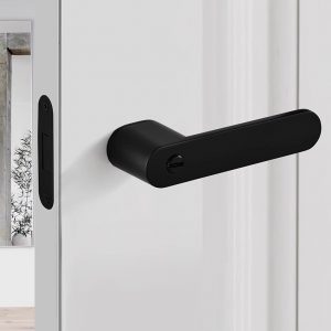Swift Door Handle