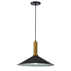 Kara Drop Light