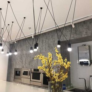 Lexicon Drop Light