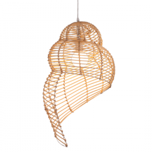 Conch Drop Light