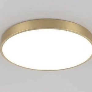 Orbicular Flush Mount