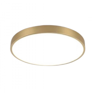 Orbicular Flush Mount