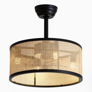 Florina Accent Ceiling Fan