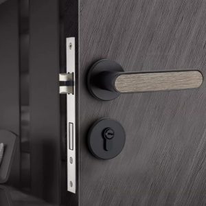 Gandor Door Handle